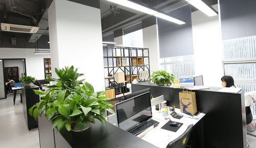 杭州露語爾科技有限公司